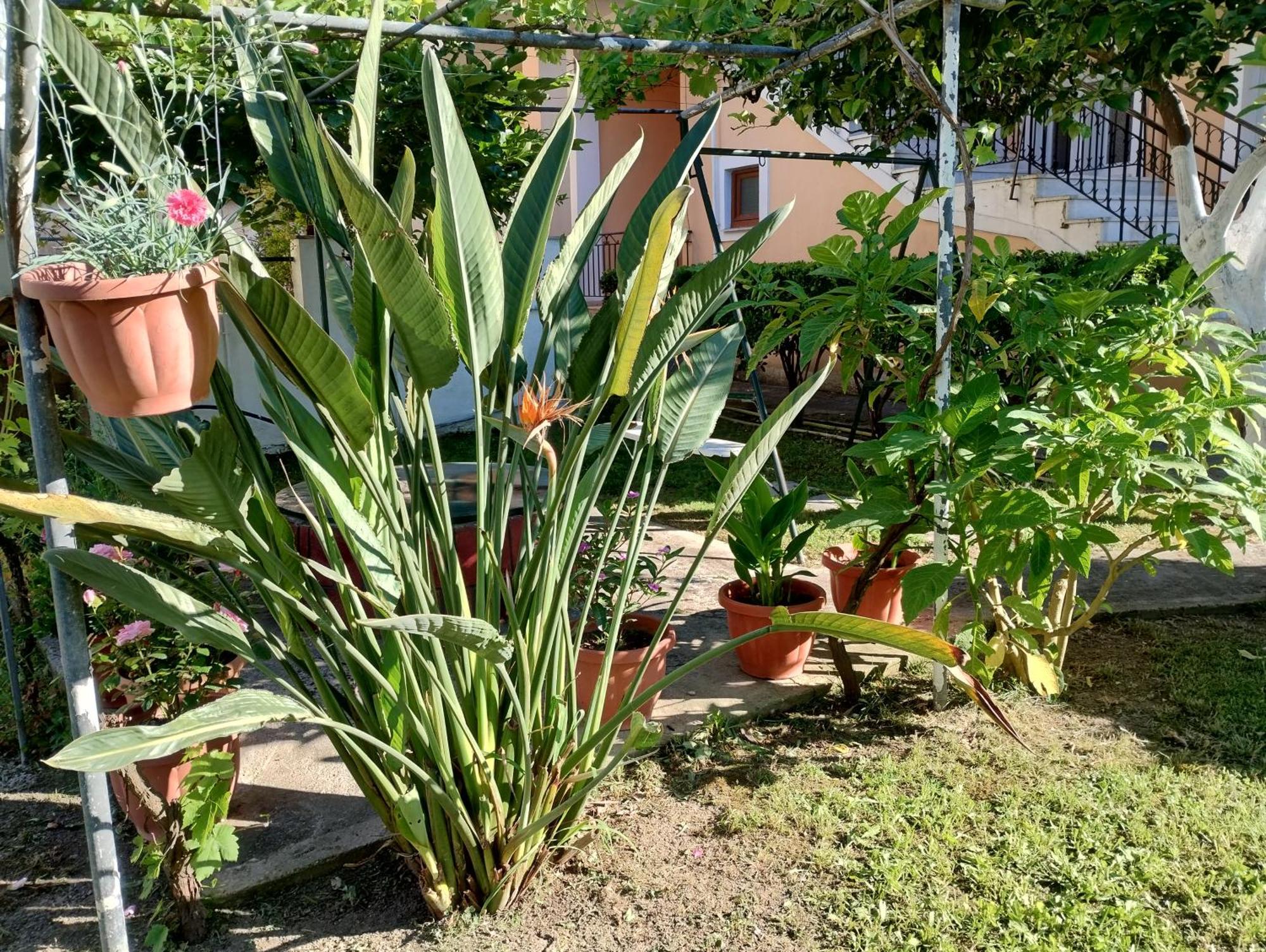 Apartment Nikos 3 *